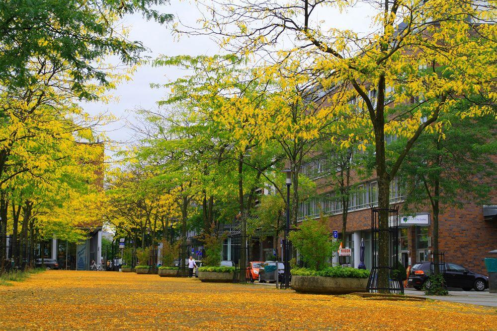 Essen City Suites المظهر الخارجي الصورة